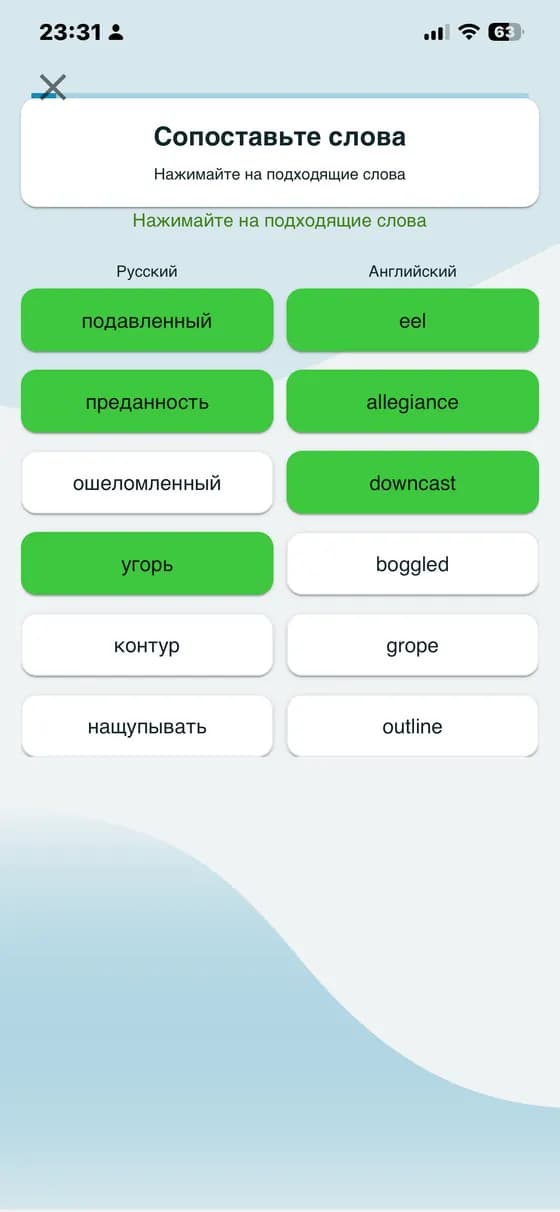 Raw app screenshot showing vocabulary quiz practice