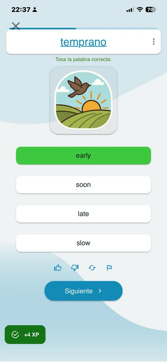 Ejercicio de vocabulario con una imagen y varias respuestas posibles en A-Dictionary