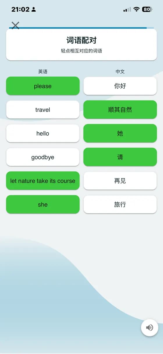 A-Dictionary 词语与翻译配对练习
